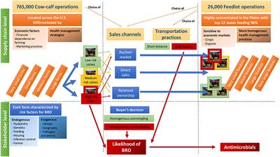 Antimicrobial Policies in United States Beef Production: Choosing the Right Instruments to Reduce Antimicrobial Use and Resistance Under Structural and Market Constraints